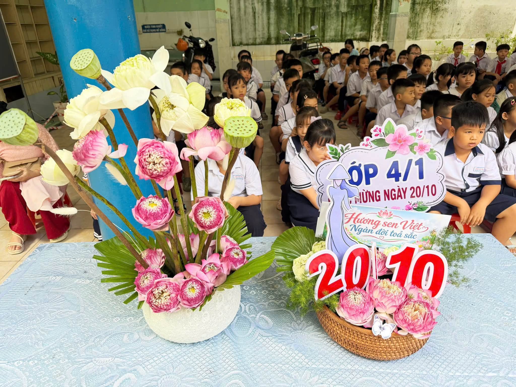31